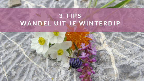 Drie tips: Wandel uit je winterdip het voorjaar in.